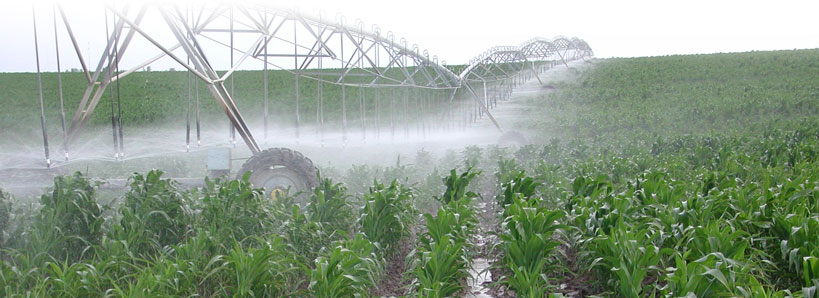 waste water from irrigation