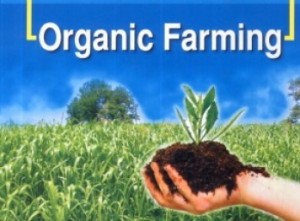 Organic Farming